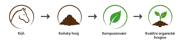 Proces projektu Zeměcyklus
